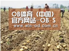 种植基地一