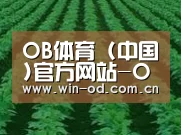 种植基地六