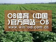种植基地五(图1)