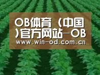 种植基地六(图1)