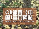 种植基地七