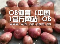 产品展示标题5(图1)
